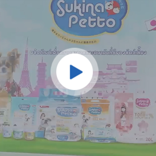 新品手提袋視頻