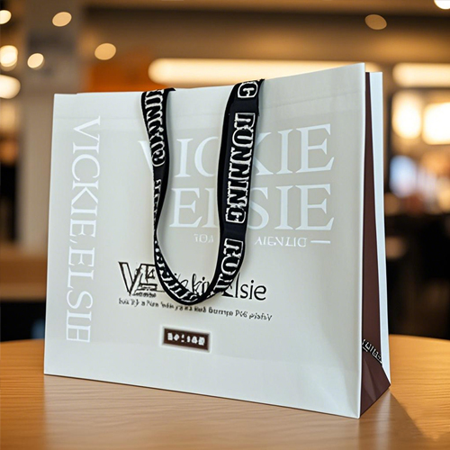 紙塑複合手提袋（dài）